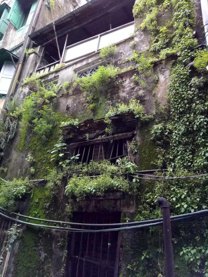 Baobabed Hostel Yangon, Myanmar Eksteriør bilde